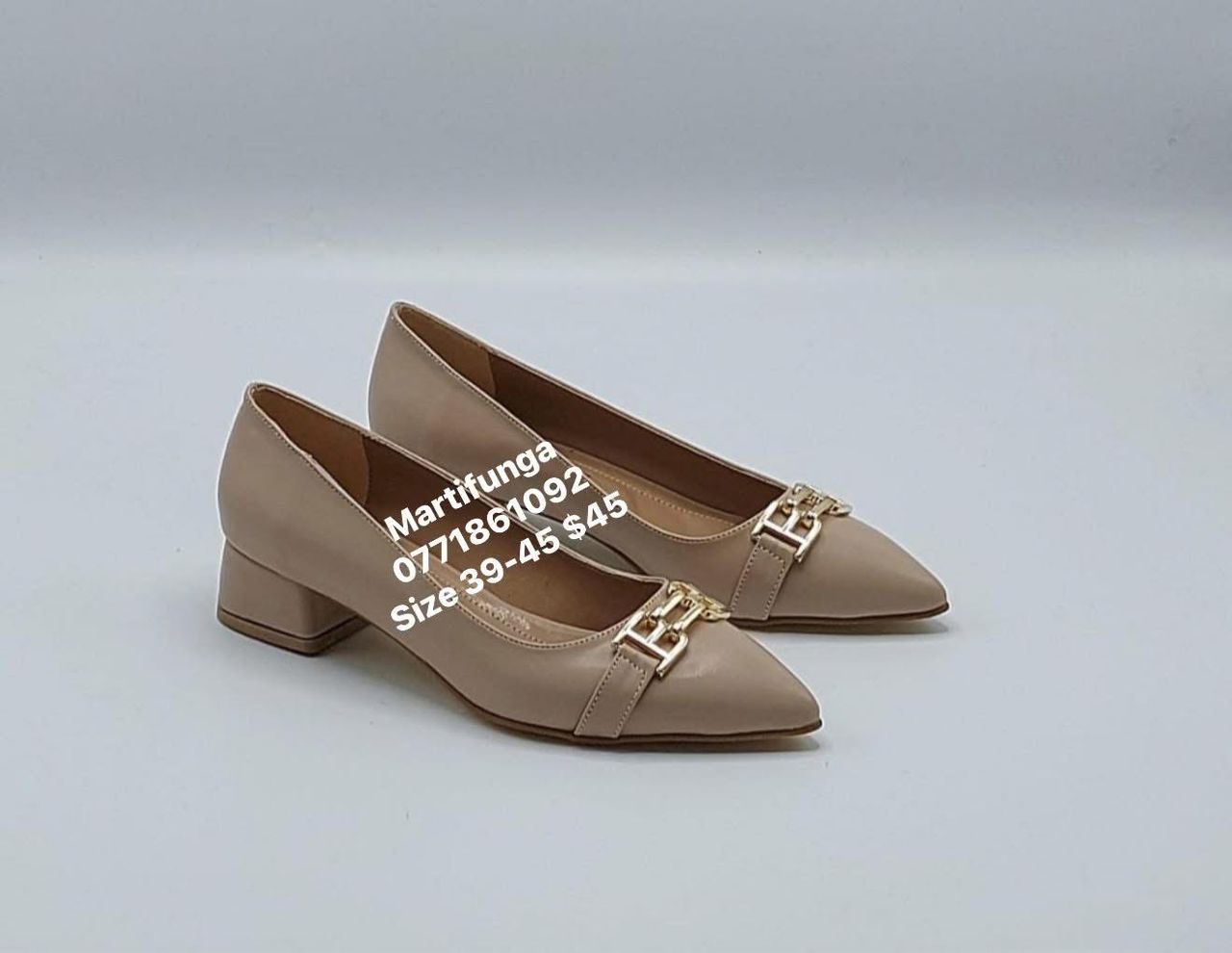 Nude Gold Chain Buckle Pointed Flats